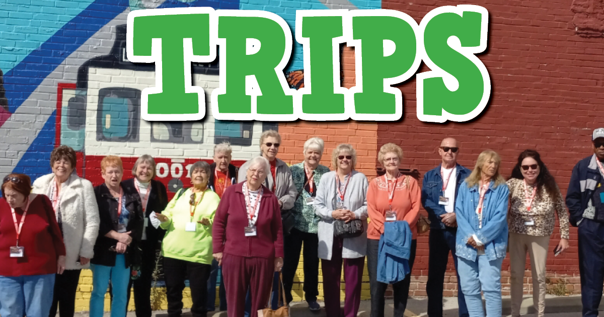 Trips Website Graphic